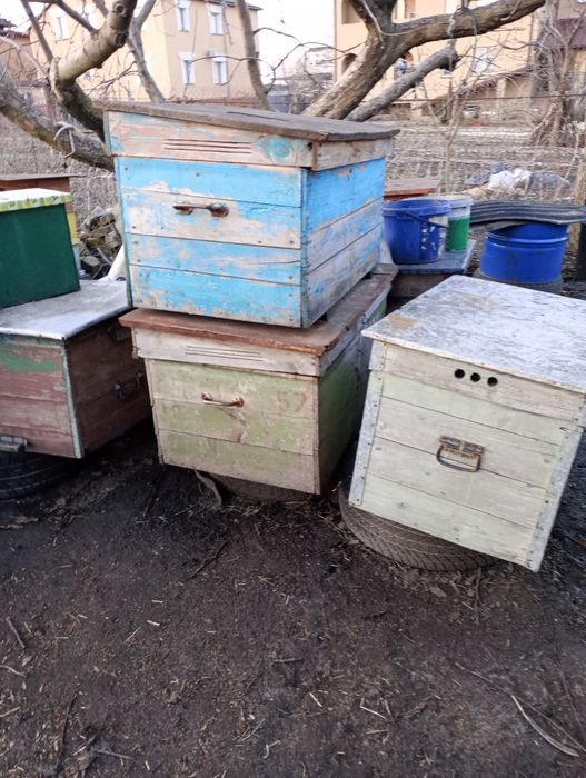 Продам вулики,пасіку