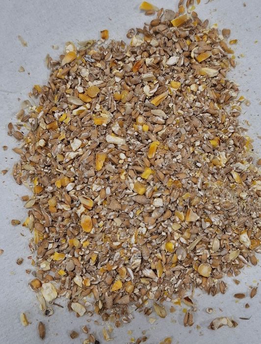 Naturalna Mieszanka Dla Kur Niosek 25kg BEZ GMO