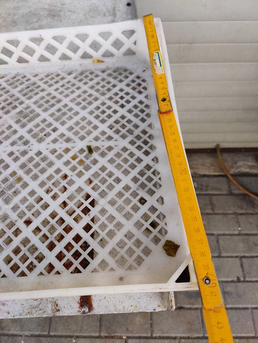 Pojemnik Plastikowe Skrzynki na owoce, do suszenia ziół itp.
