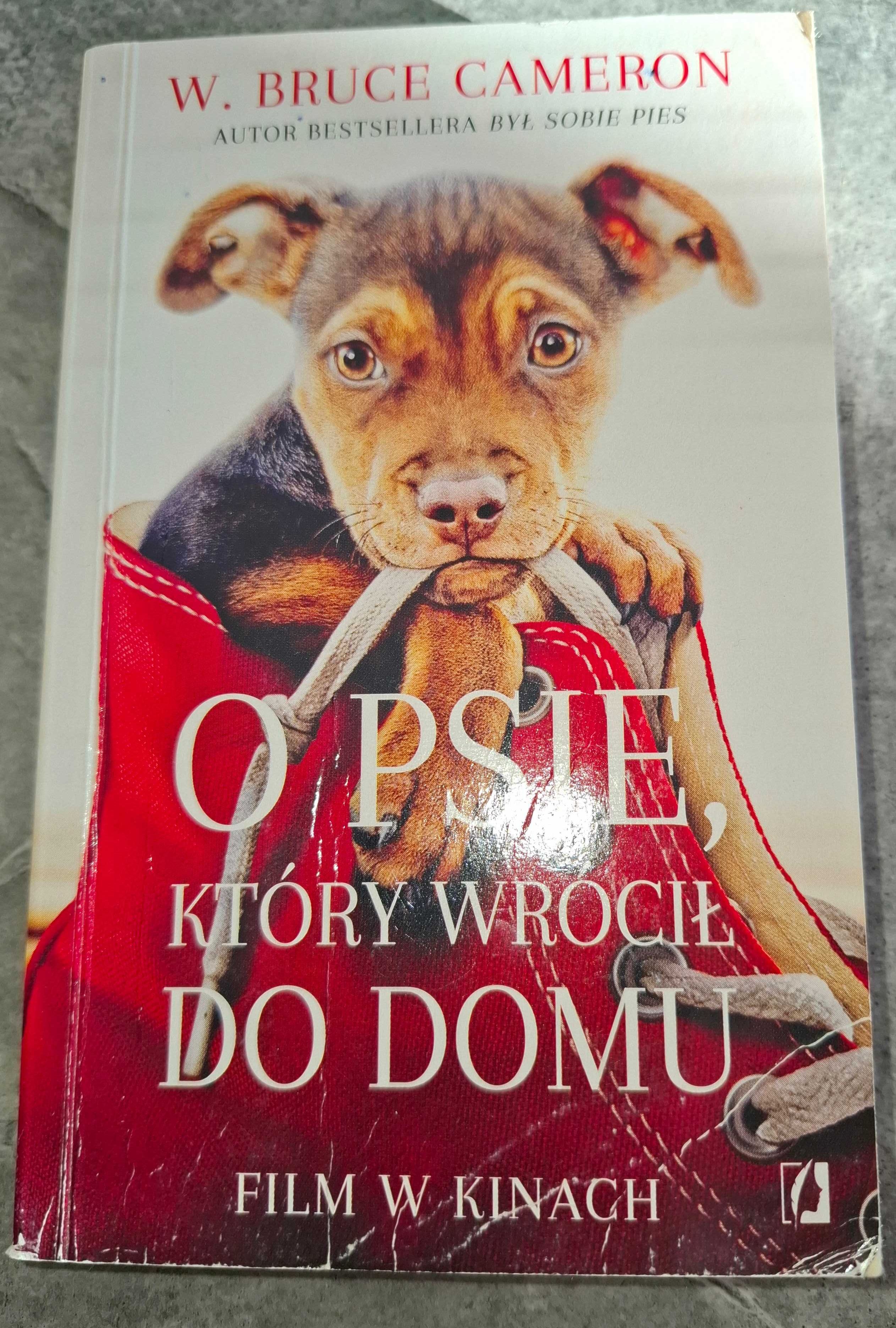 Książki dla dzieci :O psie, który wrócił do domu.
Cameron Bruce W.