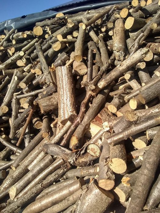 Drzewo-Drewno opałowe