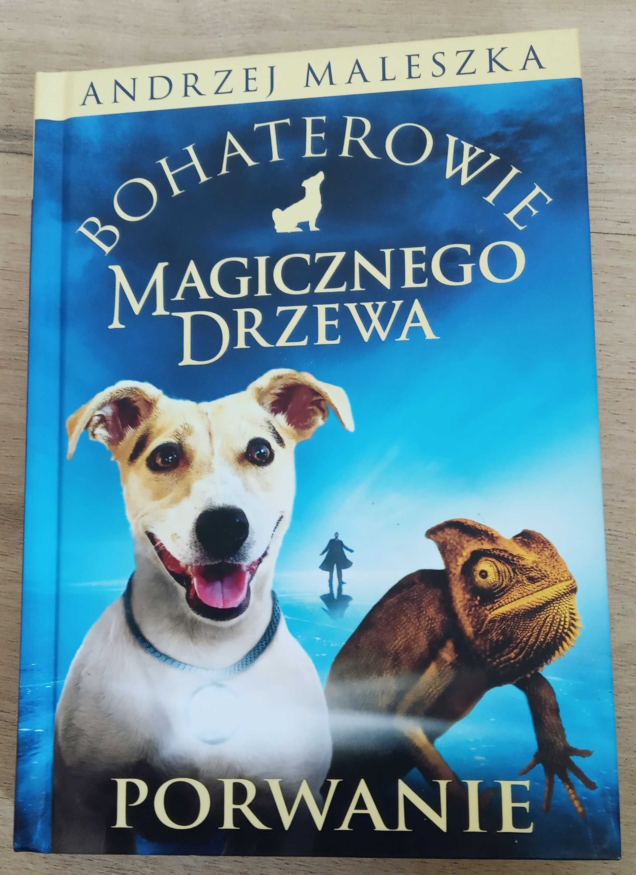 Książka - Bohaterowie magicznego drzewa "Porwanie"