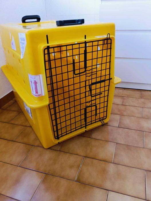 Caixa de transporte para animais