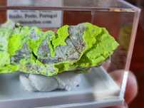 Minerały do kolekcji uranowe autunit Portugalia U świecie w UV