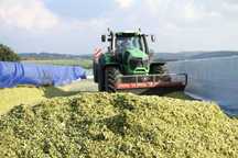 Zakiszacz Farma Sil 500g- 50 ton kiszonki- ogranicza straty w kiszonce
