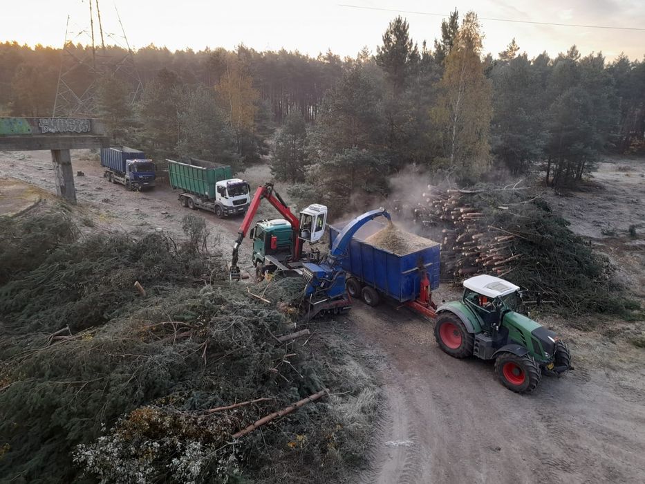 Wycinki, karczowanie drzew, mulczowanie TANIO !!!