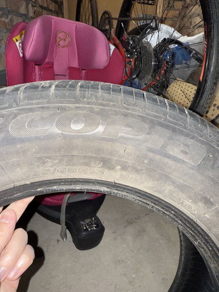 Opony letnie Bridgestone ECOPIA EP150 (195/65R15)