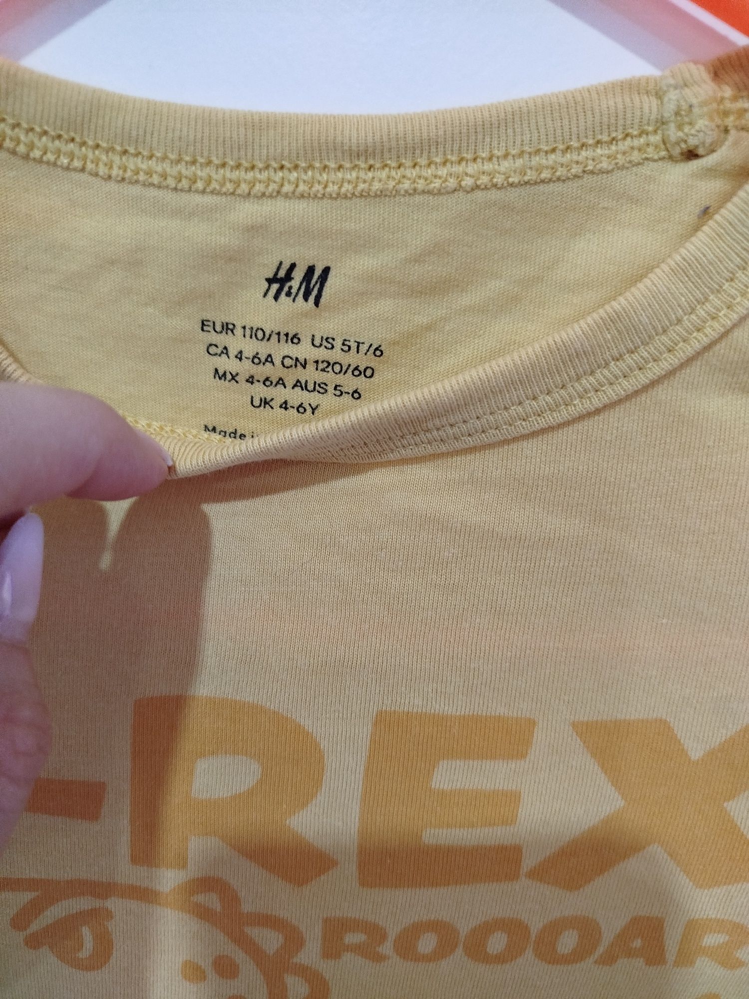 Koszulka z dinozaurem H&M r.110/116