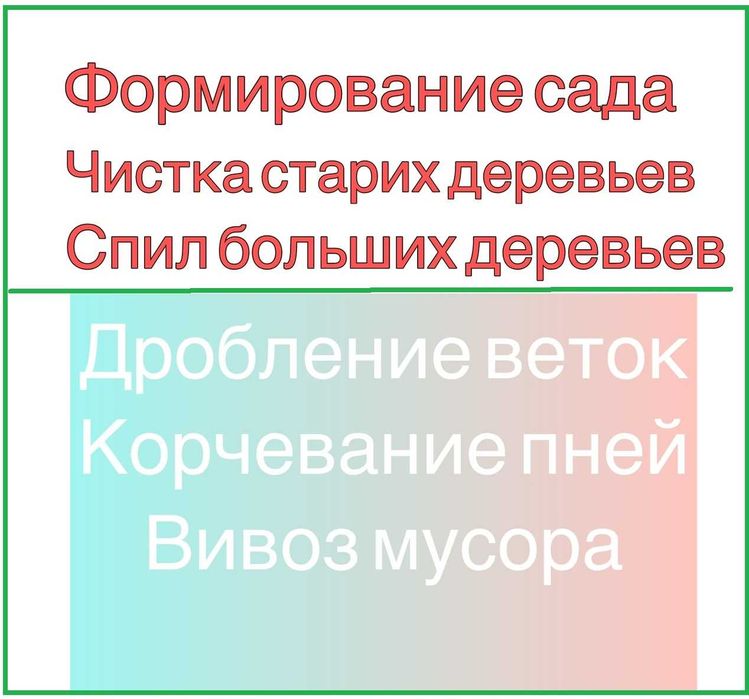 Правильная обрезка деревьев На плодоношение Чистка Формирование