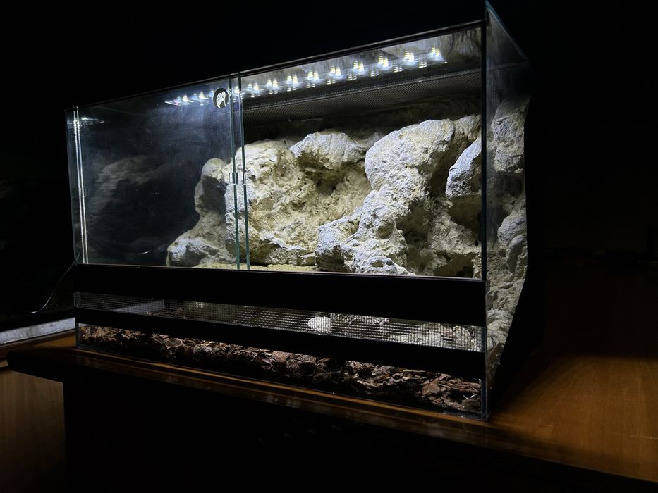 Виконаємо вертикальний, горизонтальний terrarium