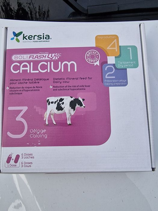 Bolus wapno Calcium, fosfor, bolus Fertil rozrodowy, Kersia okazja