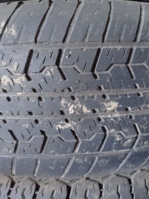 Резина на 14 недорого