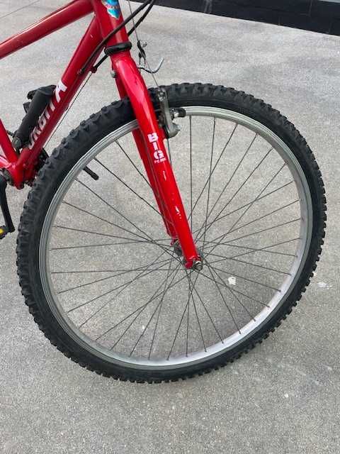 Bicicleta (2 lugares) – Diversão a dois sobre rodas