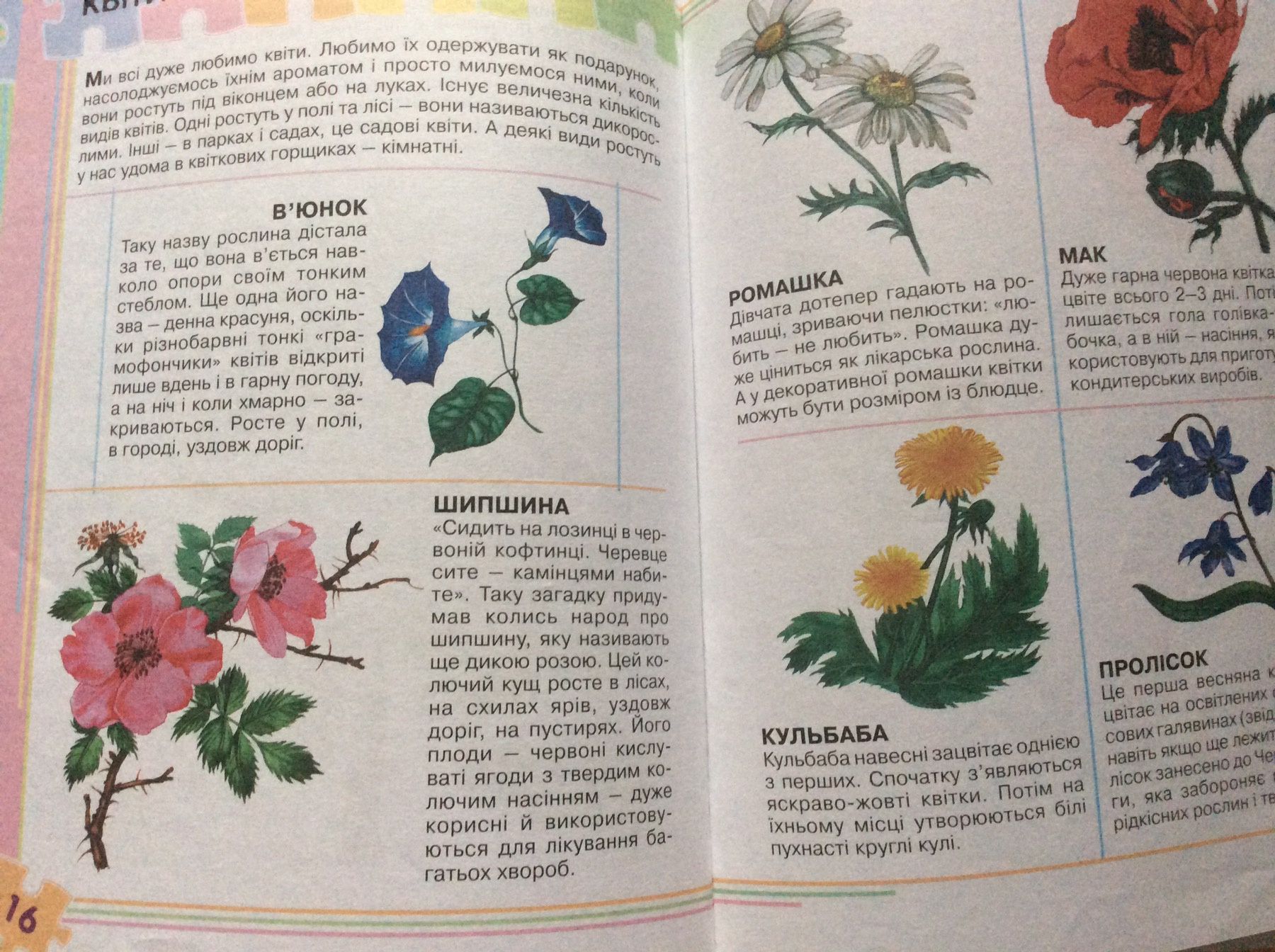 Книга моя перша енциклопедія