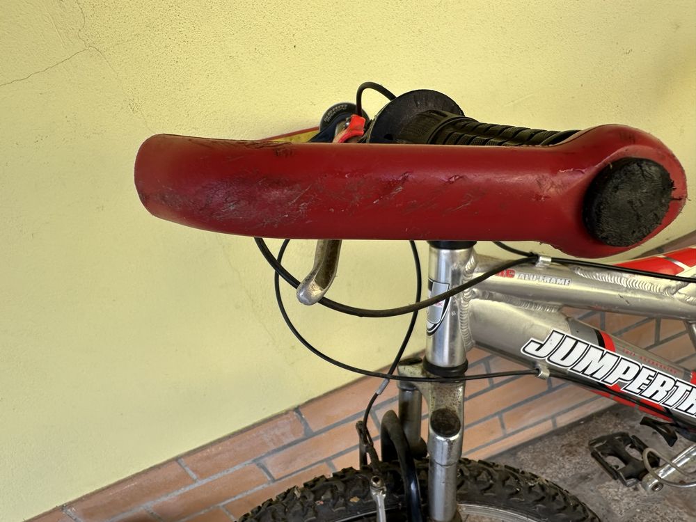 Bicicleta unisexo