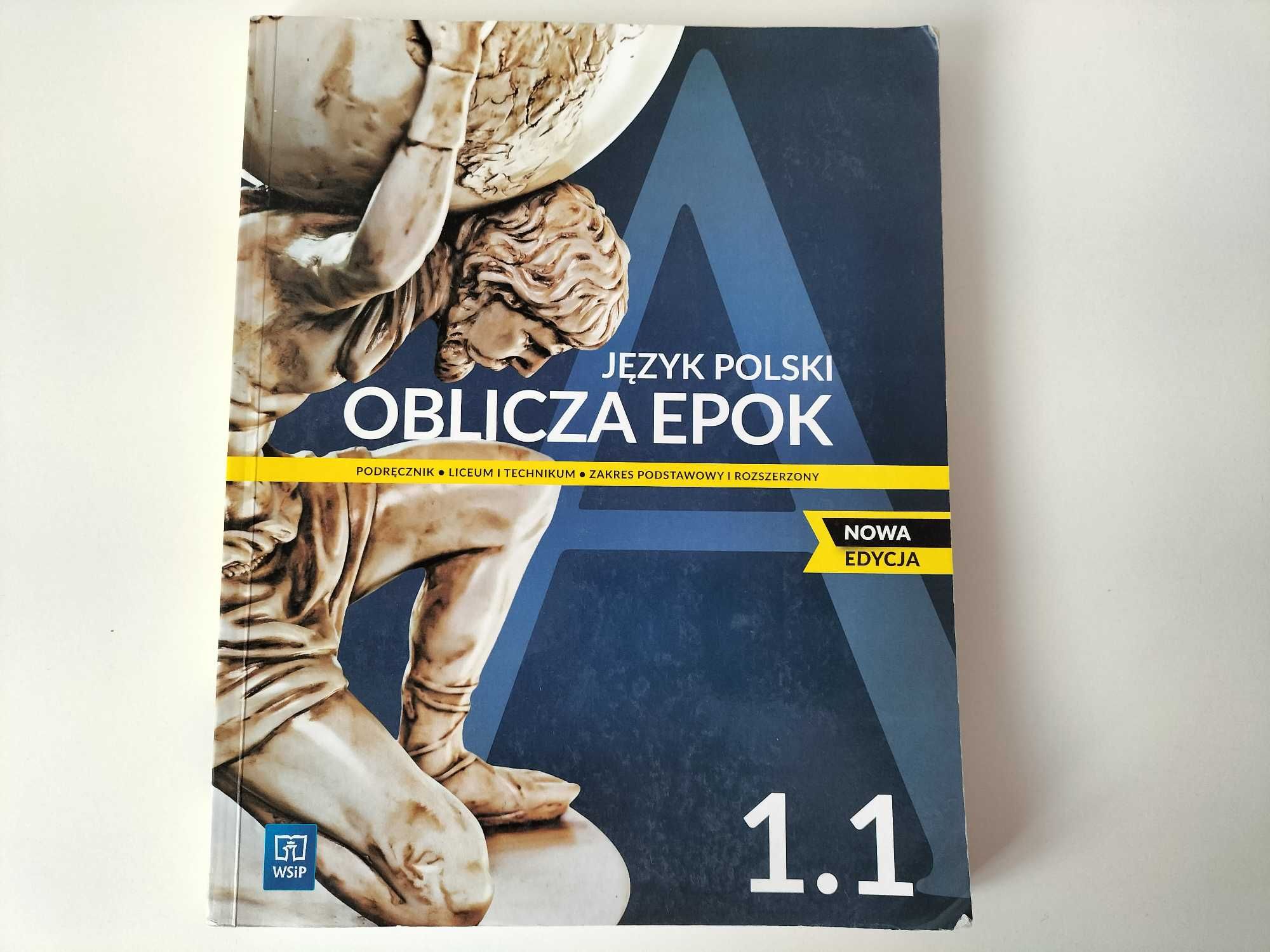 język polski 1 oblicza epok 1.1 wsip nowa edycja bdb