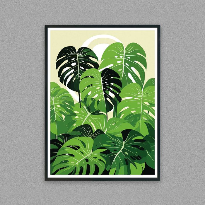 monstera plakat do pokoju, obraz monstera, plakat, kwiat monstera