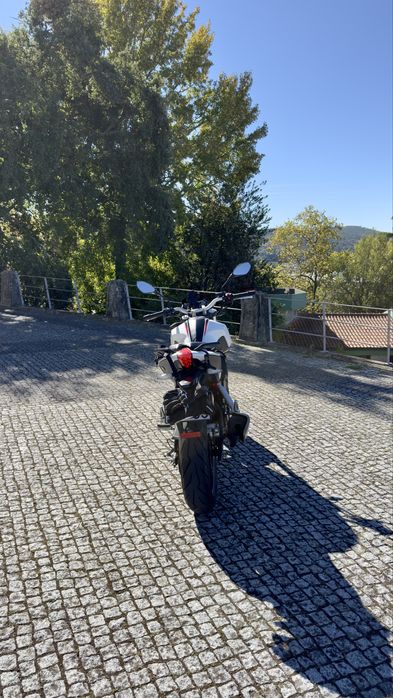 Benelli Bn251 de 2019