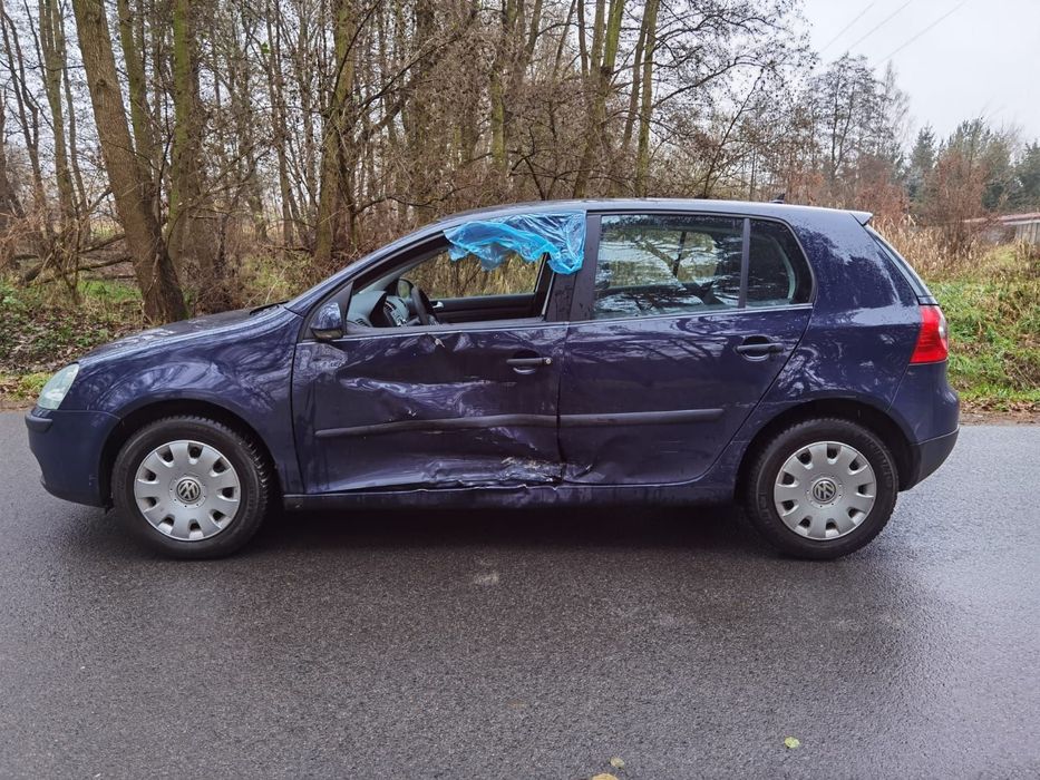 Volkswagen Golf V 1.9 tdi Klimatyzacja Golf 2005r