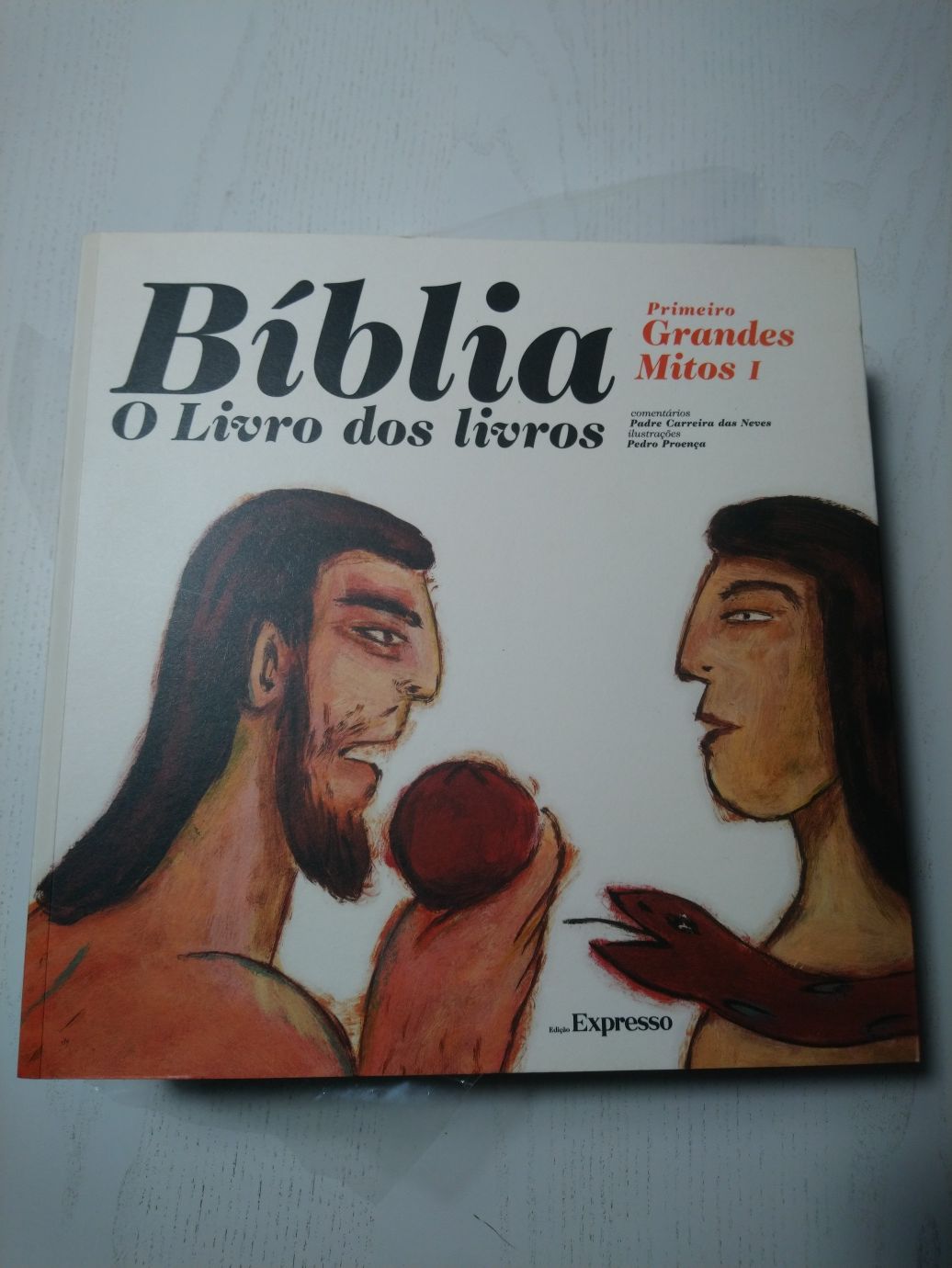 Bíblia o livro dos livros - colecção Expresso