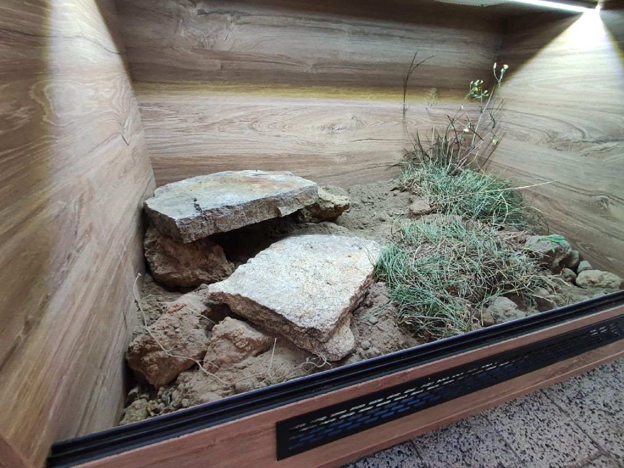 Terrarium 80x50x50 dla żółwia PETMARKET