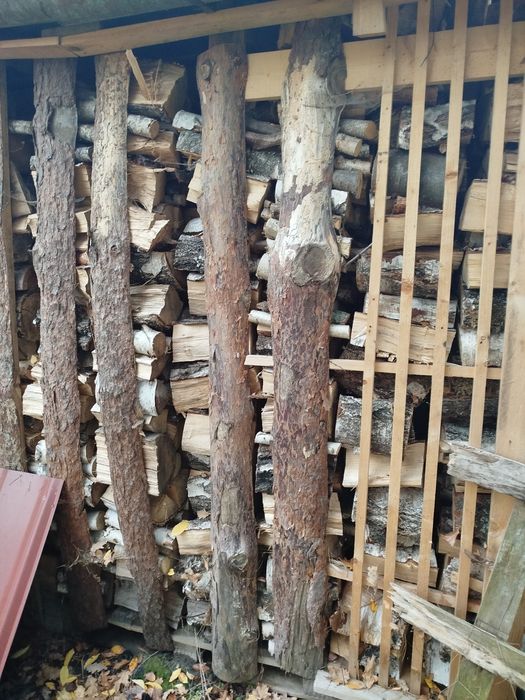 Sprzedam drewno brzozowe