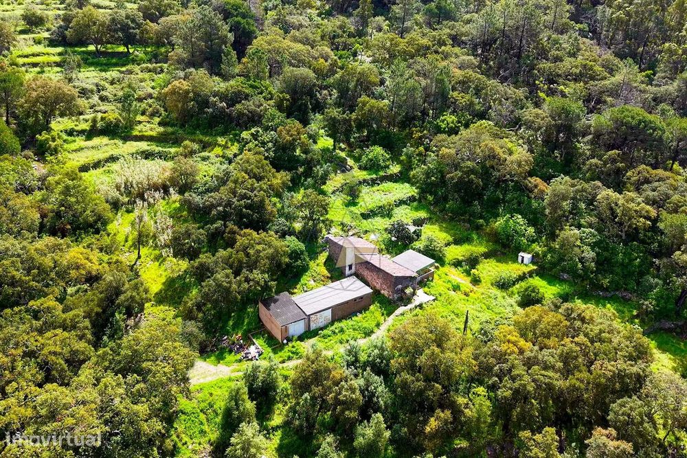 Quintinha T2  com Vista Panorâmica e Deslumbrante  para a serra em Mon