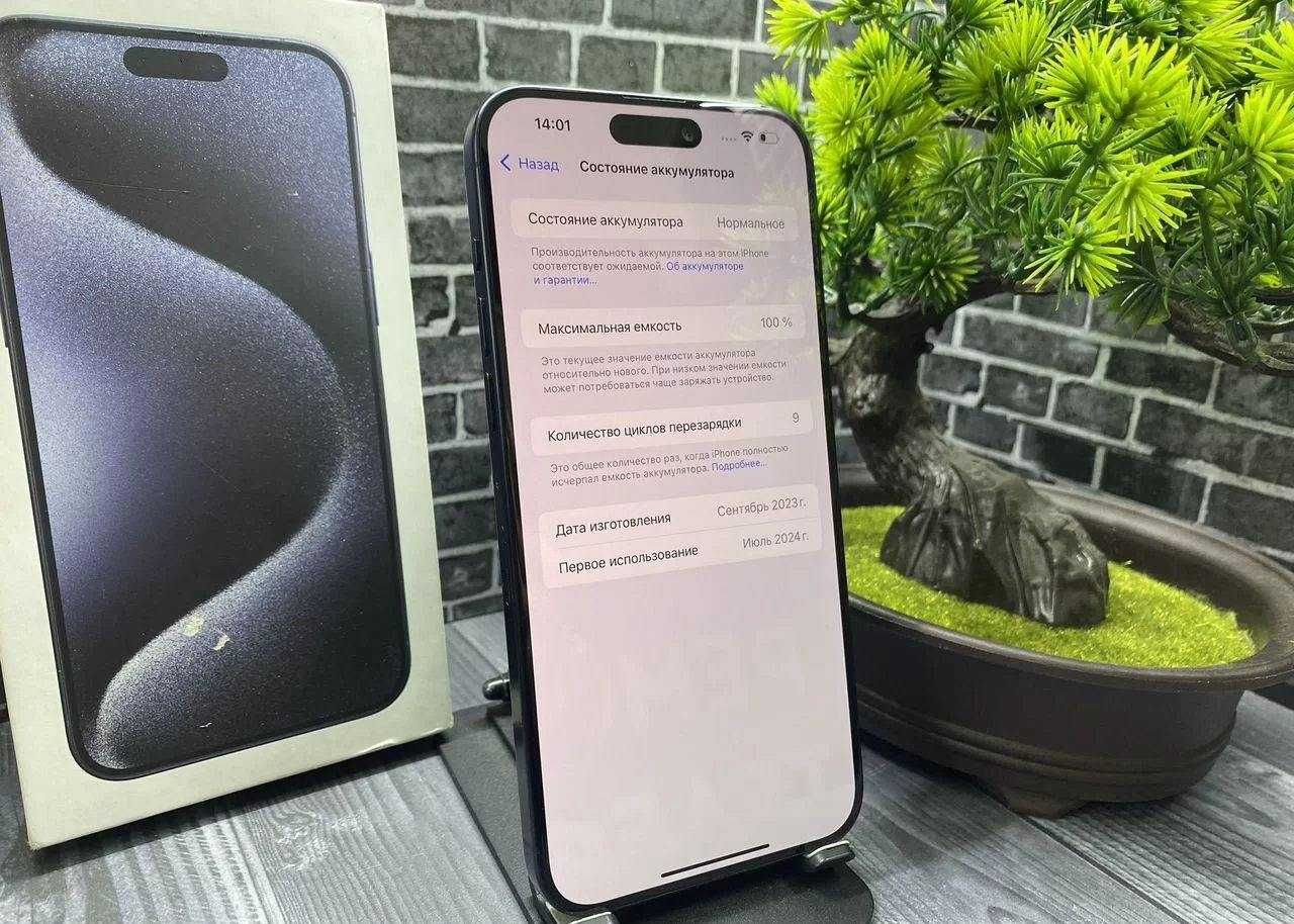 iPhone 15 Pro Max, 256 ГБ