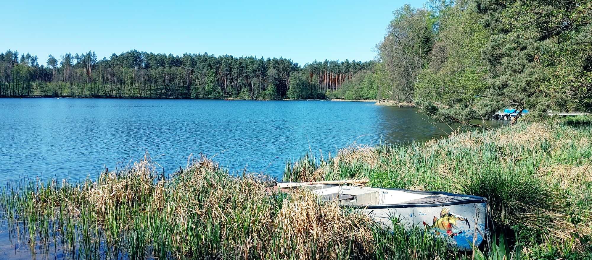 Wynajmę Domek nad Jeziorami