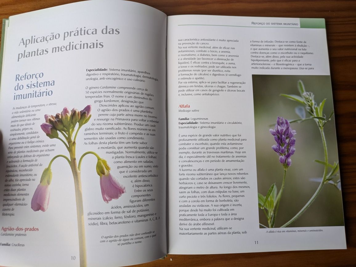 Novo Guia das Plantas Medicinais