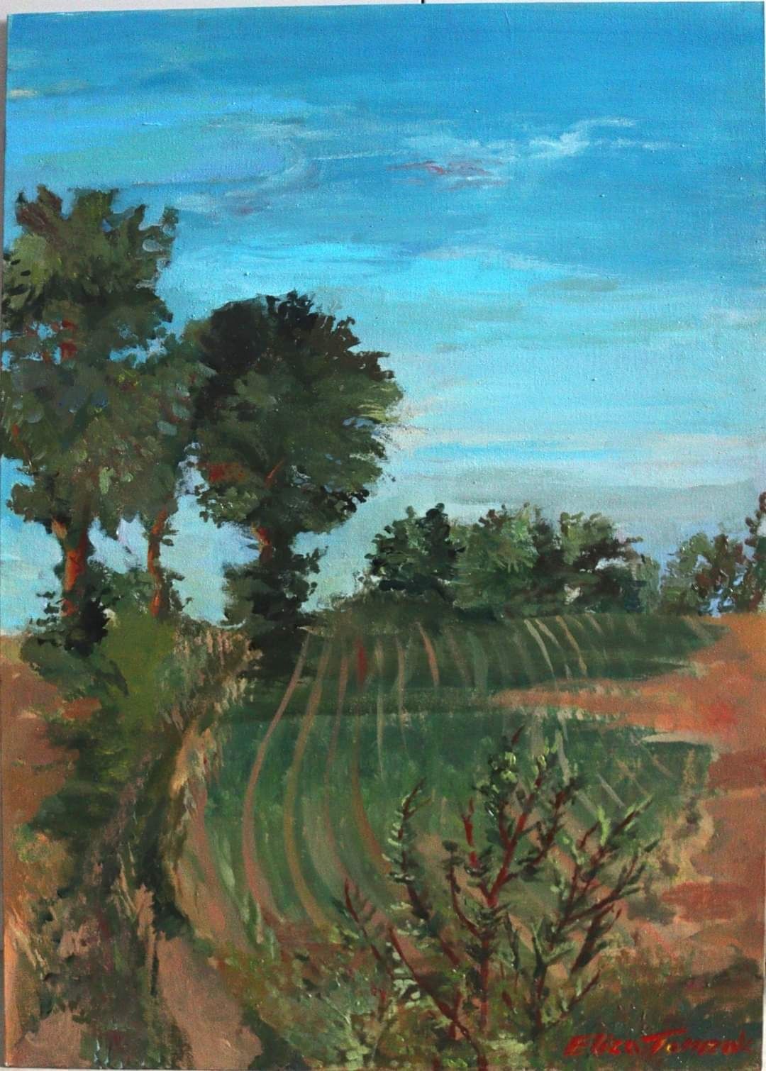 Obraz 50x70cm "Pole wschodzącej kukurydzy"