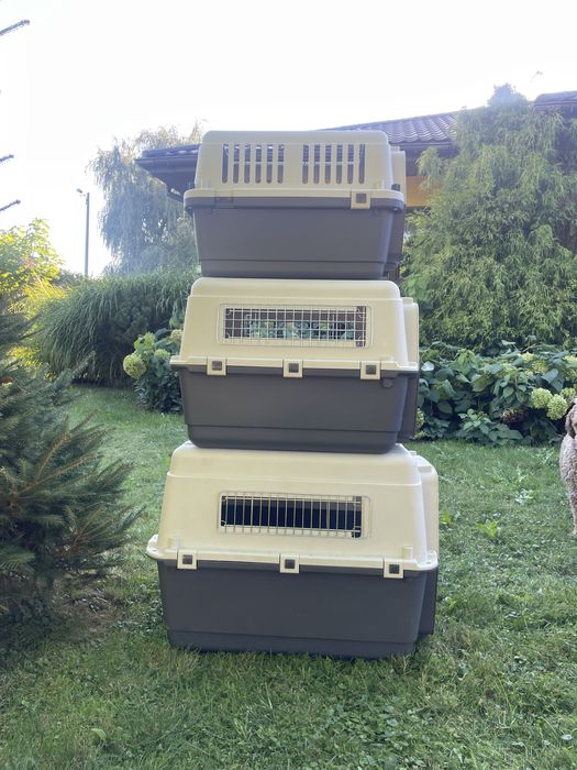 Transporter dla psa  – solidne, 3 sztuki