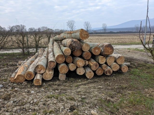 Дрова бук граб метрові гуртом дрова кубанами колоті дрова по області