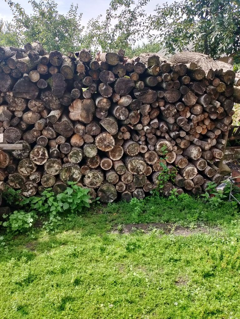 Продам дрова метровки Дешевше не знайдете самовивіз Перемишлян
