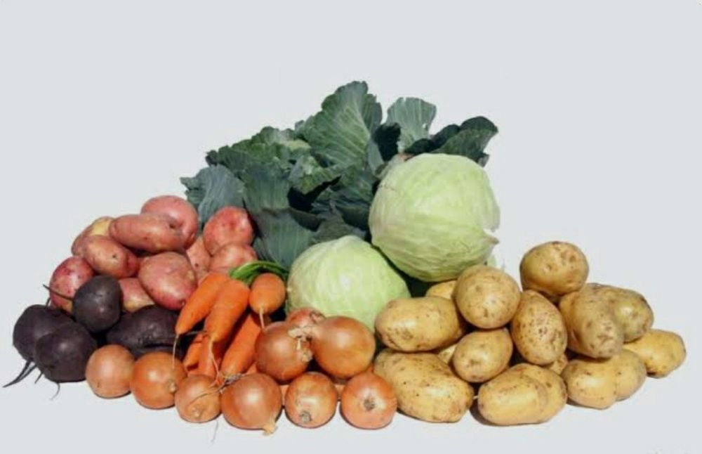 Овочі картопля цибуля капуста морква буряк фрукти яблуки слива