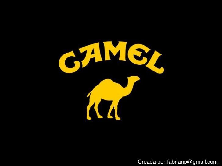 Chá tipo Camel Virgínia. Emb.350gr