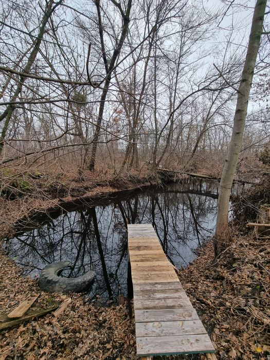 Терешки, окремий добротний будинок з сауною