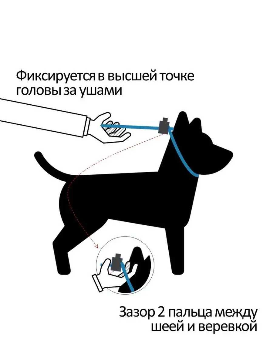 Поводок удавка для дресирування собак нашийник контролер 3 метра