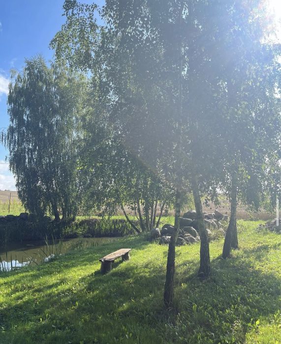 Wieczor panienski sylwester urodziny kawalerski dom nad jeziorem domek