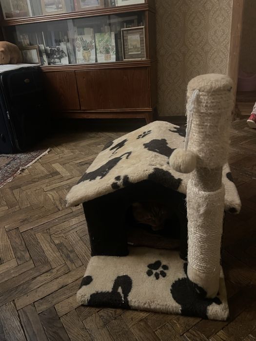 Будиночок для котика