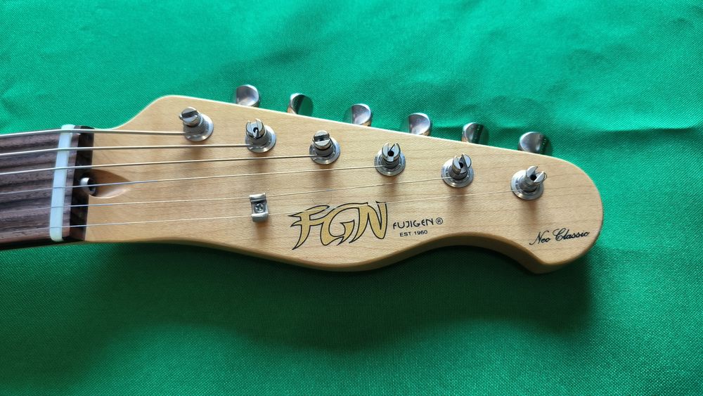 Fujigen Neo Classic TE (Japan)