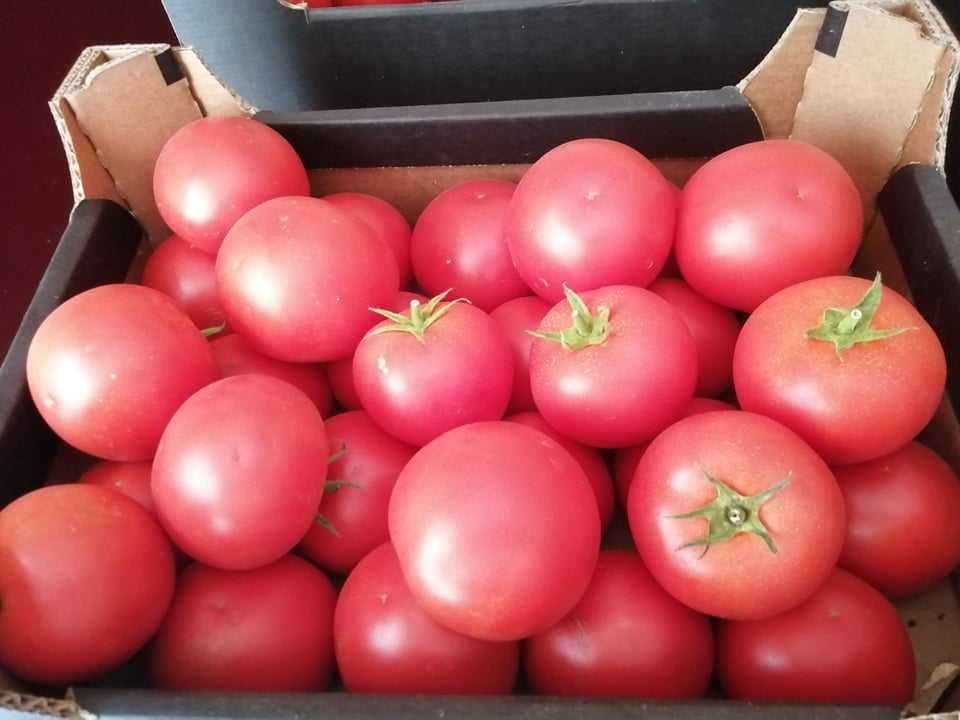 Ziemniaki mlode irga i irys
