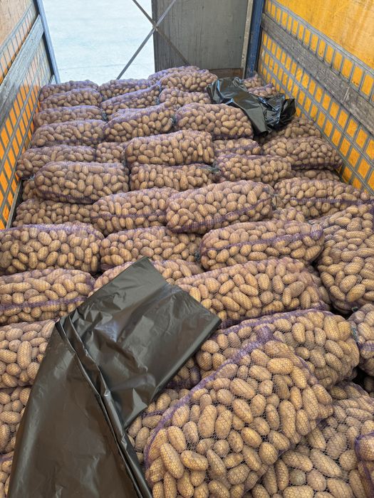 Продам картошку разных сортов