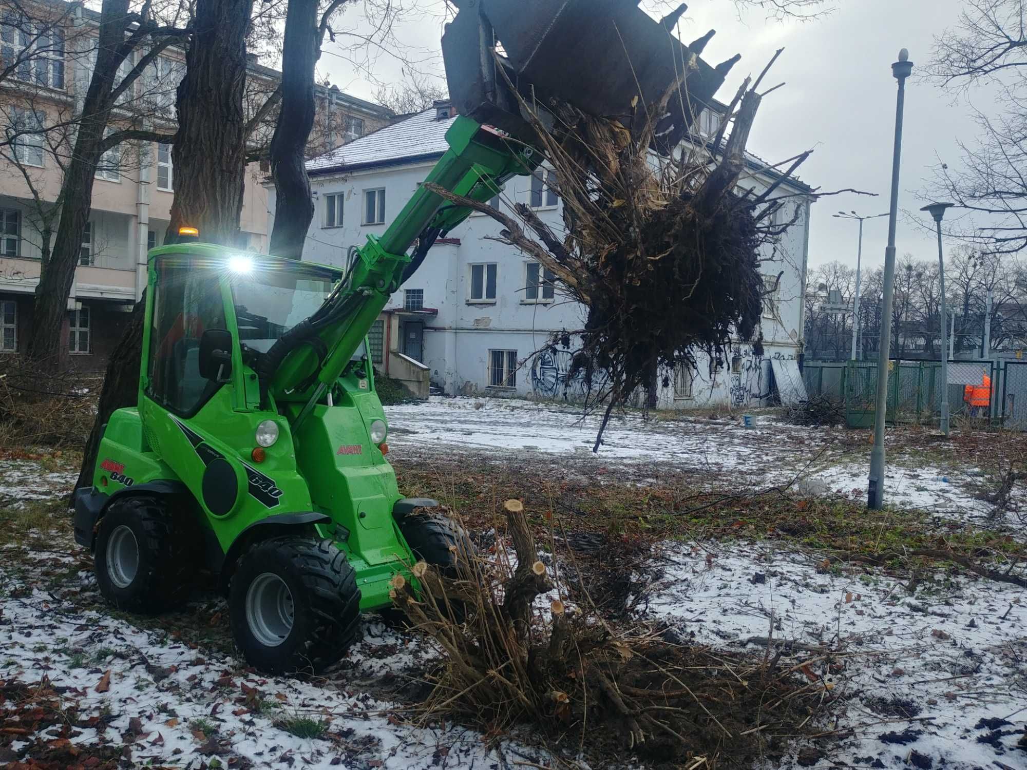 Czyszczenie działek - koszenie, wycinka drzew, usuwanie korzeni