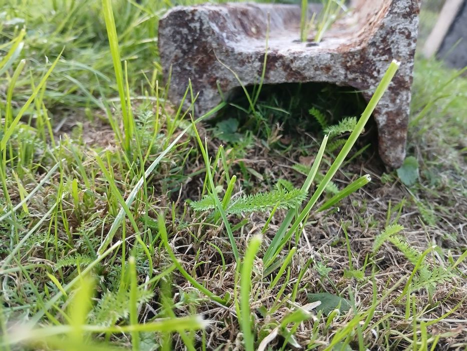 Szyna kolejowa z rozbiórki