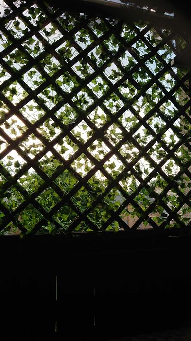 Sztuczny bluszcz 50 m na ścianę balkon taras dekoracja 50 metrów