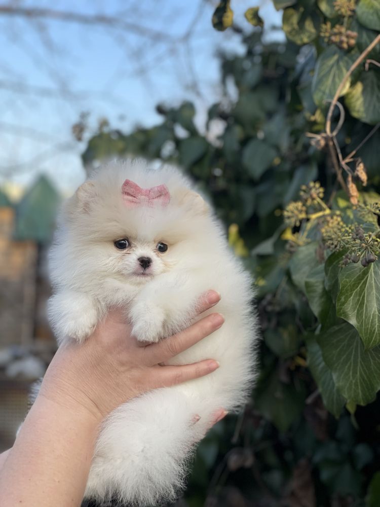 Гарненький хлопчик та дівчинка