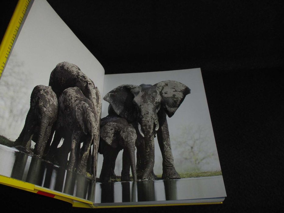 Livro The National Geographic Society 100 Years of Adventure Discovery