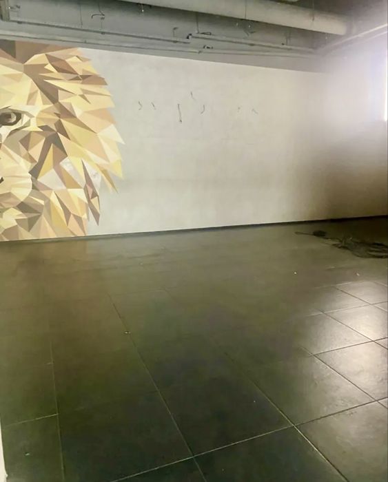 Фасад 250 м2, вул Велика Васильківька, пл.Українських Героєв, Гулівер