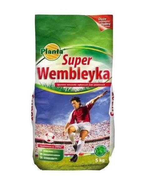 Planta super wembleyka